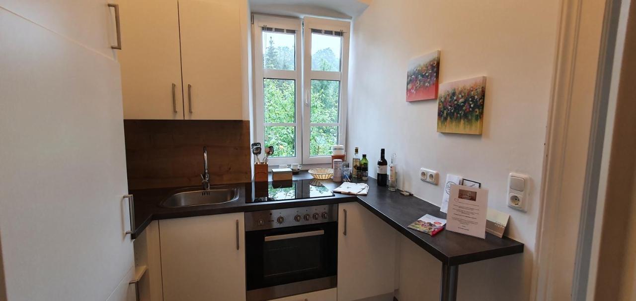 Appartements Maximilian Göstling an der Ybbs Esterno foto