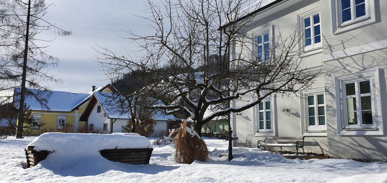 Appartements Maximilian Göstling an der Ybbs Esterno foto