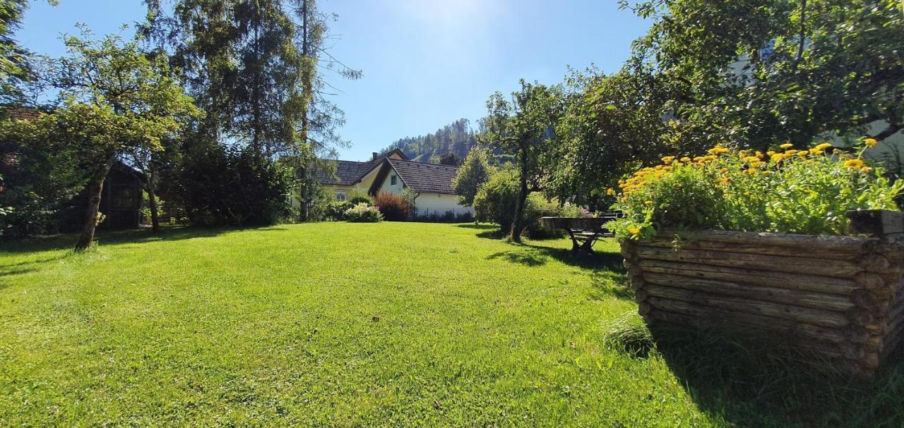 Appartements Maximilian Göstling an der Ybbs Esterno foto