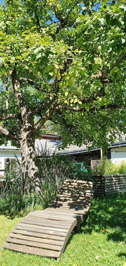 Appartements Maximilian Göstling an der Ybbs Esterno foto