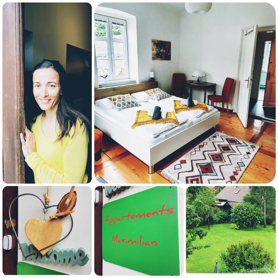 Appartements Maximilian Göstling an der Ybbs Esterno foto